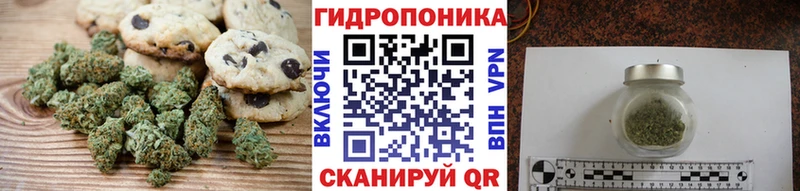 купить закладку  Райчихинск  Canna-Cookies марихуана 