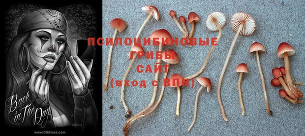 крисы Балабаново