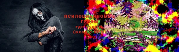 apvp Балахна