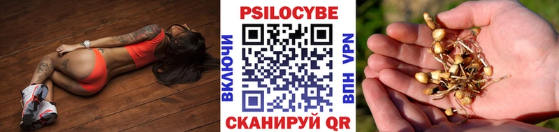 Псилоцибиновые грибы Magic Shrooms  kraken вход  Райчихинск 
